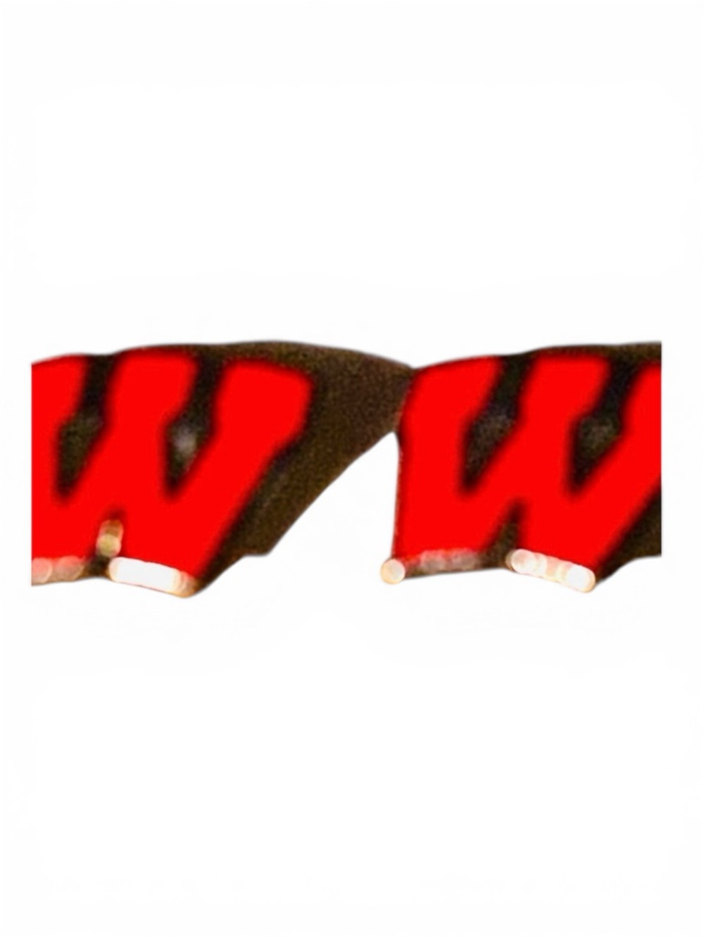 University of Wisconsin - Madison vintage logo post earrings never worn